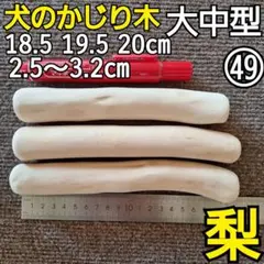 Item thumbnail for item d6aa1d2b-b14d-4049-bb64-3bbce17d628e