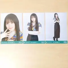 乃木坂46 川﨑桜 生写真 コンプ 2025 November-Ⅱ - メルカリ