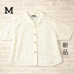 Item thumbnail for item be0d4c6f-57b9-4bc0-9701-666587e8569e