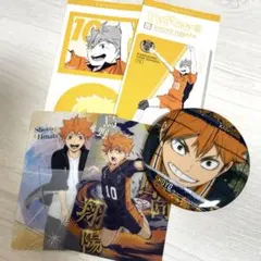 ハイキュー 日向翔陽 烏野高校 トレカ 缶バッジ