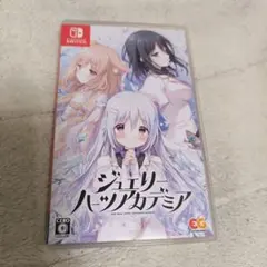 断捨離ゲーマー様 リクエスト 2点 まとめ商品