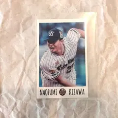 【匿名配送】東京ヤクルトスワローズ 木澤尚文 チェキ風カード