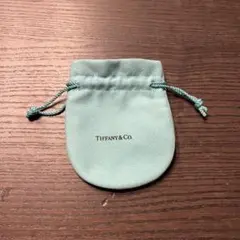 Tiffany & Co. /アクセサリー入れのサムネイル
