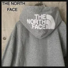 177e 【即完売モデル】ザノースフェイス★刺繍ロゴジップパーカーリアビュー