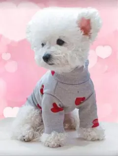 犬服 ハート模様 2点セット Sサイズ