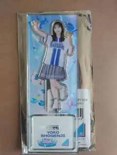 2026年最新】正源司陽子 アクリルスタンドの人気アイテム - メルカリ