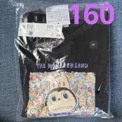 Item thumbnail for item d6c16f6e-3bab-4c66-9eee-9d880f18df53