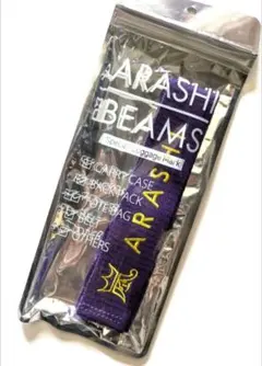 ☆みぃ☆ 様専用袋なし 嵐を旅する展覧会 ラゲッジマーク 赤3緑3 beams
