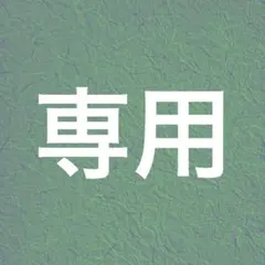 【専用】かえるのピクルス　プラスピクルス　ビーンドール　ライム