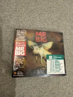 Item thumbnail for item bb09b9d1-eadb-4d8b-9483-d1ef02920ea8