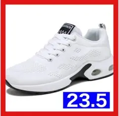 Item thumbnail for item 7c86d8f6-7952-439a-a906-e1a59cf0d63b