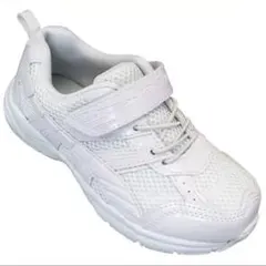 Item thumbnail for item fbafbcc1-2a1d-42d0-b377-749cfdac0938