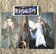 Item thumbnail for item 51e8a94f-e7dd-427c-aaa0-4399c9ff343d