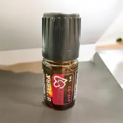ドテラ　ホリデーラブ　5ml ⭐️新品未開封⭐️のサムネイル
