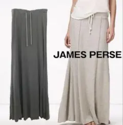 JAMES PERSE グレー ロングスカート サイズ1のサムネイル
