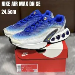 外箱・黒タグ 付属 NIKE AIR MAX DN SE 24.5cm ブルー
