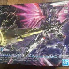 軌*焔様 HG ディスティニーガンダム ゼウスシルエット RGアカツキ