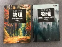 名問の森 物理 力学・熱・波動I 波動II・電磁気・原子 四訂版