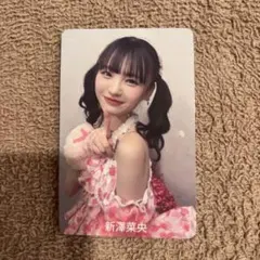 2025年最新】新澤菜央の人気アイテム - メルカリ