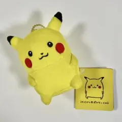 2026年最新】24じかんポケモンchu ピカチュウ ぬいぐるみの人気