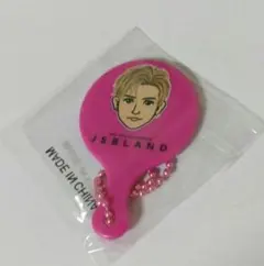 岩田剛典 JSBLAND ミニミラー