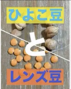 ◯▶︎◇様 リクエスト 5点 まとめ商品