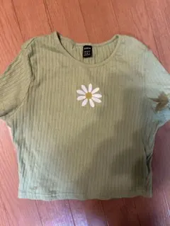 SHEIN デイジー刺繍 リブ クロップドTシャツ グリーン Mのサムネイル