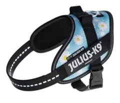 Item thumbnail for item a31f4256-cce9-4a45-9861-7e54647dc1d3