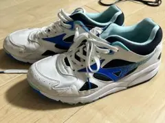 MIZUNO ミズノ　シューズ　運動靴
