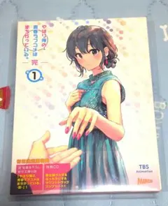 2026年最新】やはり俺の青春ラブコメはまちがっている。続 初回限定版