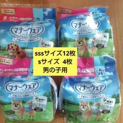 Item thumbnail for item 52978c2a-e55c-4295-bcb3-0d618127f13d