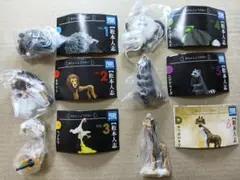 世界の珍獣（松本人志監修）フィギュア11種類セット 松本人志 世界の珍獣 第1弾