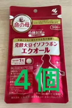 Item thumbnail for item 6fb232a7-162a-42e3-80de-8951581fe3a7