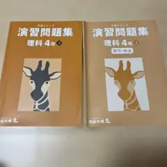 りんご様 リクエスト 2点 まとめ商品