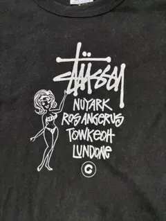 2026年最新】stussy champion tシャツの人気アイテム - メルカリ