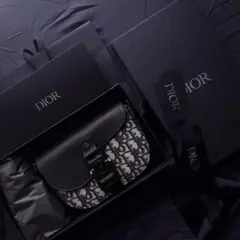 【美品】DIOR Saddle フラップ付き メッセンジャーバッグ ミニ