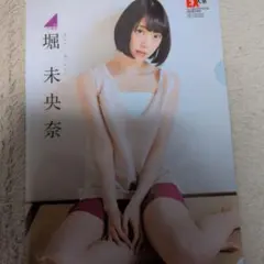 堀未央奈 クリアファイル EX大衆