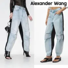 【美品】 ALEXANDER WANG ハイブリッド ナイロンカーゴ デニム24