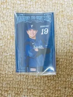 横浜DeNAベイスターズ スターナイト 限定ステッカー #19 山﨑康晃 山﨑のサムネイル
