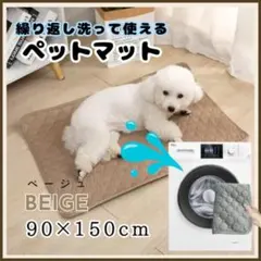 Item thumbnail for item 3dc49fde-a3a7-45a4-a41f-acda0b6b0c5a