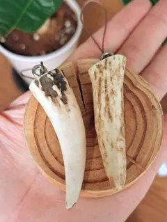 【お買い得】エゾ鹿の角 ストラップ キーホルダー 2本セット