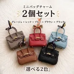 ミニバッグ型チャーム 2個セット 色違い選択可 AirPods入れ キーホルダー