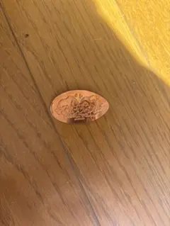 ユニバーサルスタジオジャパン コイン　2011年