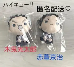 ハイキュー!! もちぴこ　ぬいぐるみ 新品 ２種セット♡