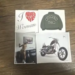 AVIREX Thug Club ステッカー 4枚セット