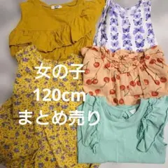 BREEZE 他女の子 120cm まとめ売り