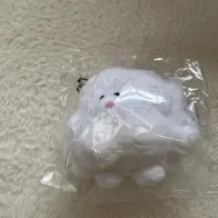 mottk モック　フラッフィームード