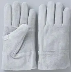 Item thumbnail for item 9274c196-58e3-4481-a8ed-ffb0288e06f4