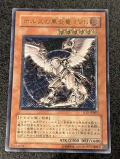 2025年最新】ホルスの黒炎竜lv6の人気アイテム - メルカリ