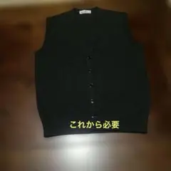 SILVER OX 黒 ボタン付きベスト